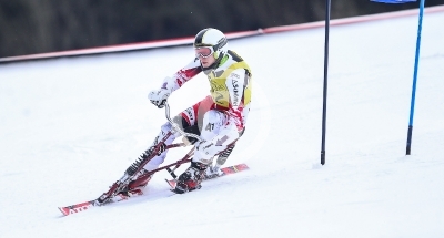 Skibob Landesmeisterschaften 2016