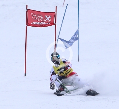 Skibob Landesmeisterschaften 2016