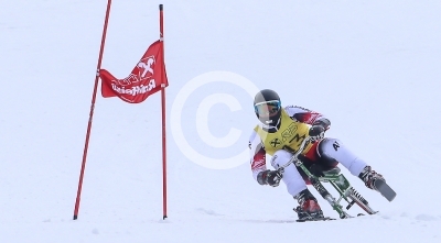 Skibob Landesmeisterschaften 2016