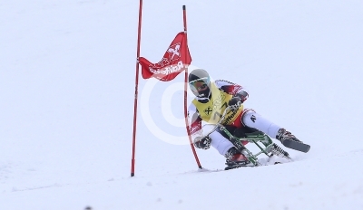 Skibob Landesmeisterschaften 2016