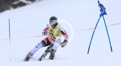 Skibob Landesmeisterschaften 2016