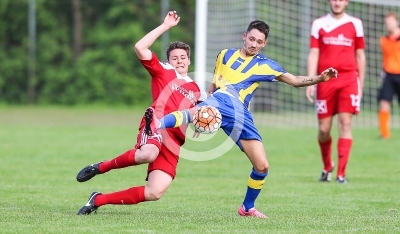 Spielberg vs. Neumarkt