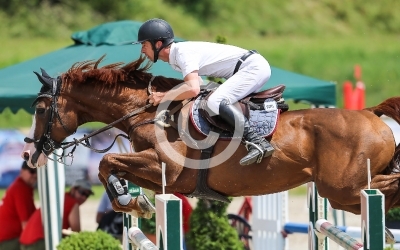 Springreiten
