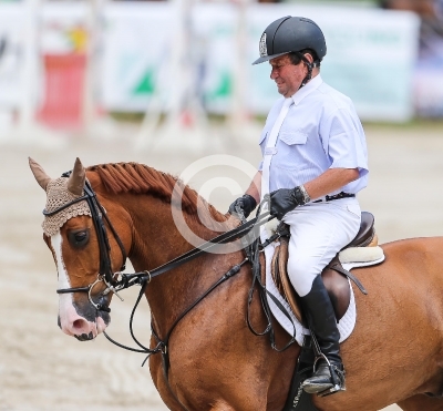 Springreiten