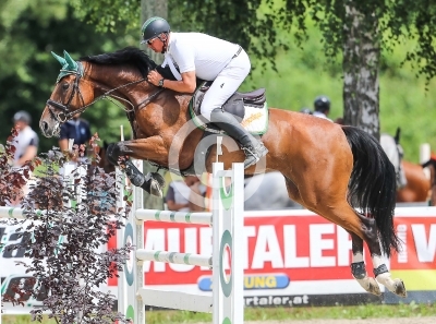 Springreiten
