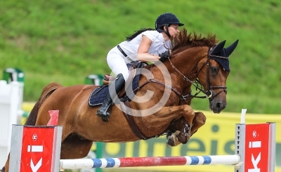 Springreiten