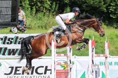 Springreiten