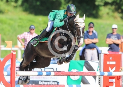 Springreiten