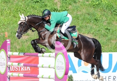 Springreiten