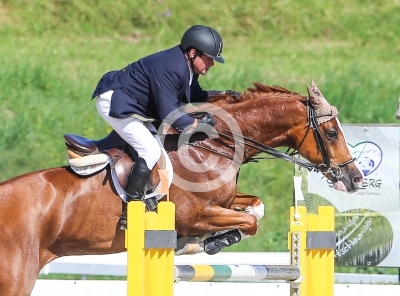 Springreiten