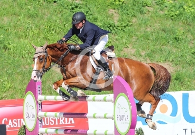Springreiten