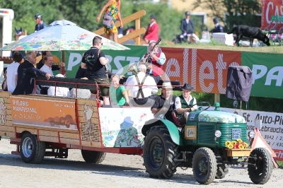 Springreiten