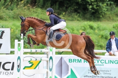 Springreiten