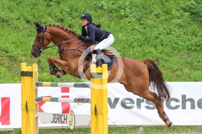 Springreiten