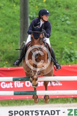 Springreiten