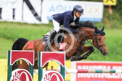 Springreiten