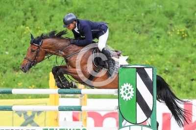 Springreiten