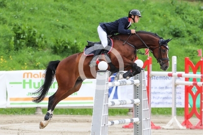 Springreiten