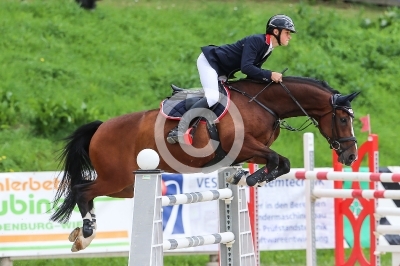 Springreiten