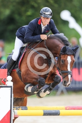 Springreiten