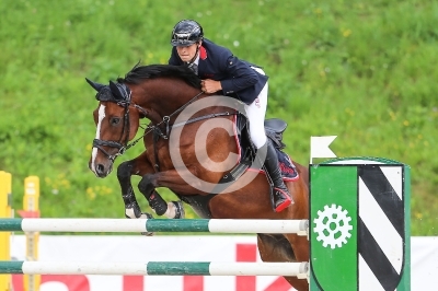 Springreiten