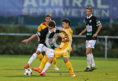 Zeltweg vs. KSV Amateure