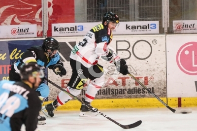  EV Zeltweg vs. Panthers Frohnleiten