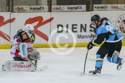 EV Zeltweg vs. Panthers Frohnleiten