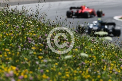 Formel 1