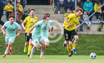 Allerheiligen vs. Eggendorf Hartberg Amateure