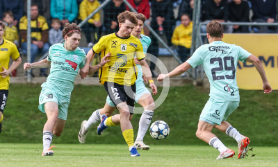 Allerheiligen vs. Eggendorf Hartberg Amateure