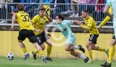 Allerheiligen vs. Eggendorf Hartberg Amateure
