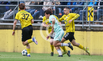 Allerheiligen vs. Eggendorf Hartberg Amateure