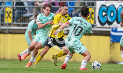 Allerheiligen vs. Eggendorf Hartberg Amateure