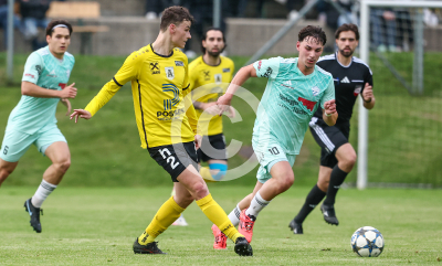 Allerheiligen vs. Eggendorf Hartberg Amateure