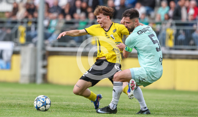 Allerheiligen vs. Eggendorf Hartberg Amateure
