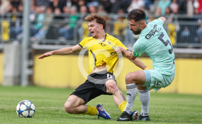 Allerheiligen vs. Eggendorf Hartberg Amateure