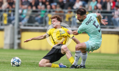 Allerheiligen vs. Eggendorf Hartberg Amateure
