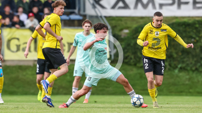 Allerheiligen vs. Eggendorf Hartberg Amateure