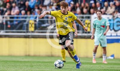 Allerheiligen vs. Eggendorf Hartberg Amateure