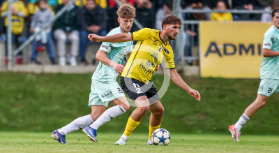 Allerheiligen vs. Eggendorf Hartberg Amateure