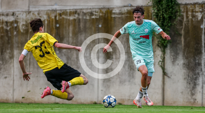 Allerheiligen vs. Eggendorf Hartberg Amateure