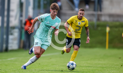 Allerheiligen vs. Eggendorf Hartberg Amateure