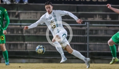 DSV Leoben vs. Gleisdorf