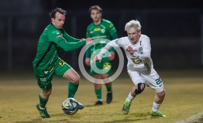 DSV Leoben vs. Gleisdorf