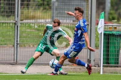 DSV Leoben vs. Hartberg