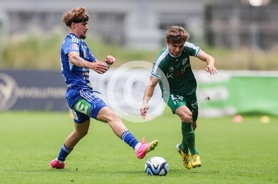 DSV Leoben vs. Hartberg