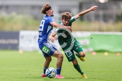 DSV Leoben vs. Hartberg