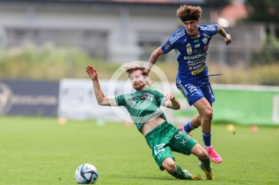 DSV Leoben vs. Hartberg