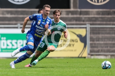 DSV Leoben vs. Hartberg